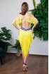 Professional bellydance costume (classic 426 a-available)